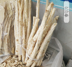 中药配方北沙参 养生参类图3
