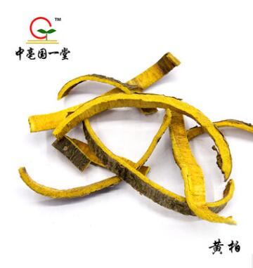 精选优质中药材黄柏 无硫黄柏片图2