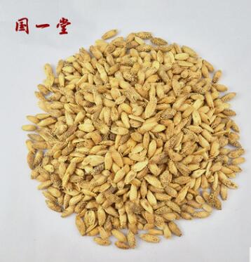 优质苍耳子 野茄子图2