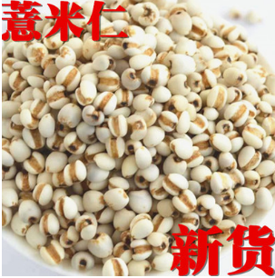 产地直销薏米仁精选贵州小薏米16年新货无硫薏米仁薏米碎薏仁批发图2