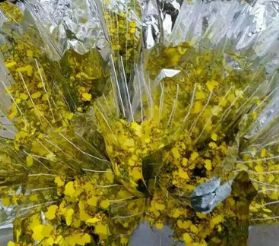 文心兰10枝/扎 家居 婚礼 花店插花 基地直供鲜切花跳舞兰批发图1