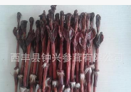 长白山干鹿筋 农产品滋补保健 强筋活血中药材专业加工批发厂家图3