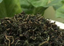 敬泽药业供应批发炒制 蒲公英茶 传统茶工艺口感好色泽徍图1