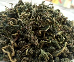 敬泽药业供应批发炒制 蒲公英茶 传统茶工艺口感好色泽徍图3