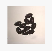 西洋参淫羊霍缓解疲劳18463013690图1