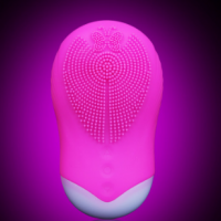 新款专利硅胶洁面仪 超声波洗脸美容仪 震动导入仪 光子嫩肤