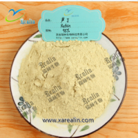 天然槐米提取物 芦丁 95%芦丁黄酮粉末 NF11 现货直销品质保证