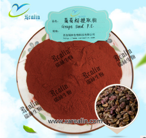 葡萄籽提取物 葡萄籽原花青素 OPC95%含量 货真价实 量大从优图2
