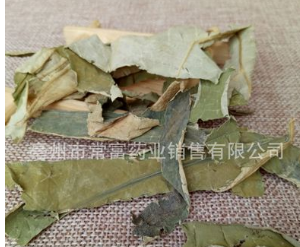 批发供应荷叶 荷叶丝 荷叶块 荷叶粉图2