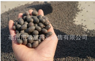 常年供应多年生荷花种子 人工碗莲种子 石莲子 1200粒一公斤图3