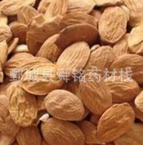扁桃仁 统货 地道药材 无虫蛀 无霉变 交药厂 假一赔十图1