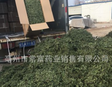 常富中药材 薄荷叶 薄荷茶 色青烘干 箱装无碎片 2017新货上市图3