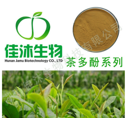 【SC证】厂家 绿茶提取物 茶多酚30% 50% 60% 98% 茶叶提取物 举报图1