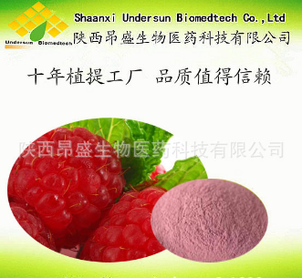 树莓果粉,覆盆子果粉,树莓粉,树莓提取物,饮料原料图1