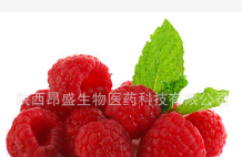 树莓果粉,覆盆子果粉,树莓粉,树莓提取物,饮料原料图2