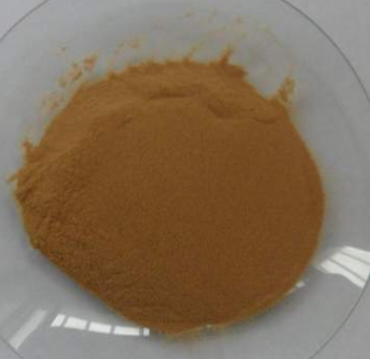 现货供应问荆提取物7%图1