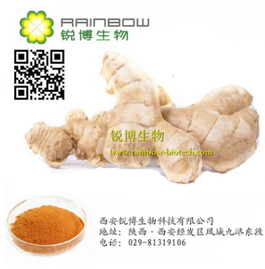 研发生产生姜提取物姜辣素 Gingerols图1
