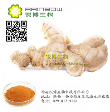 研发生产生姜提取物姜辣素 Gingerols