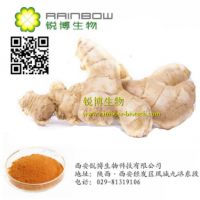 研发生产生姜提取物姜辣素 Gingerols