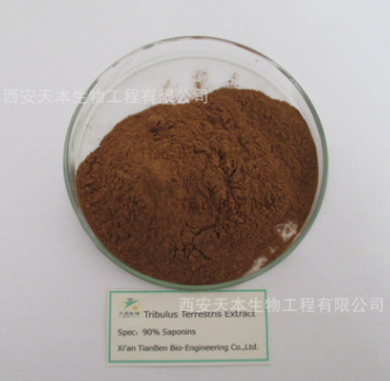 刺蒺藜提取物 刺蒺藜总皂甙90%图1