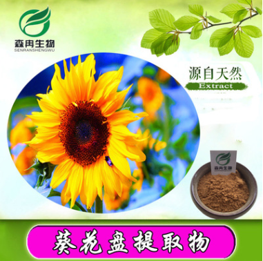 葵花盘/向日葵花盘提取物10:1/向日葵花提取物/葵花籽提取物图1