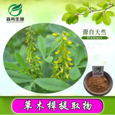 森冉生物草木樨提取物10:1/野苜蓿提取物/省头草提取物图1