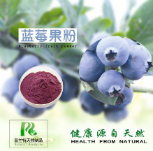 普兰特生物 蓝莓速溶粉 100%速溶无沉淀 喷雾干燥 工厂直销图1