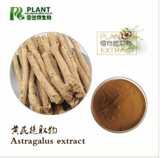 供应黄芪提取物 70%黄芪多糖 水提黄芪多糖 黄芪甲苷 生产厂家图1