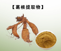 厂家直销葛根提取物 葛根素10% 葛根黄酮40%葛根异黄酮图1