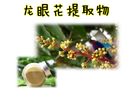 龙眼花提取物 10:1龙眼花提取物 1KG起售图1