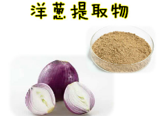 洋葱提取物/洋葱粉/洋葱头浓缩粉 10:1 比例纯天然洋葱提取 包邮图1