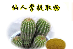 仙人掌果提取物 仙人掌果粉 仙人果提取物 植物提取厂家直销图1