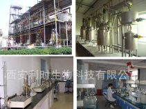 仙人掌果提取物 仙人掌果粉 仙人果提取物 植物提取厂家直销图2