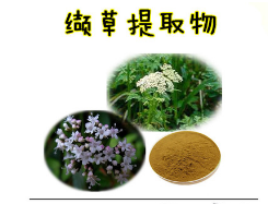 缬草提取物 缬草酸0.8% 缬草根天然萃取改善睡眠天然保健原料图1