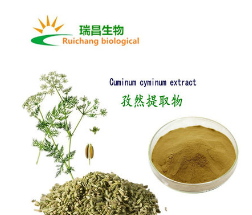 孜然提取物信息 孜然浸膏粉 植物提取物 孜然粉 现货包邮图1