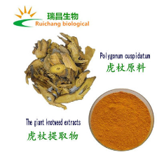 虎杖提取物信息 虎杖浸膏粉 虎杖大黄素 虎杖根醇提取物 植物提取图1