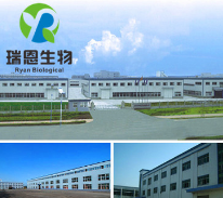 人参提取物 80%人参皂苷 人参皂甙 第三方检测 厂家直销 品质保障图2