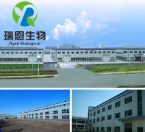 透明质酸 玻尿酸99% 100克小包装起订 透明质酸原料 厂家直销包邮图2