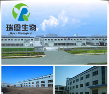 AHCC 50% 复合真菌多糖 菌类浓缩粉 三维立体复合多糖 AHCC粉包邮图3