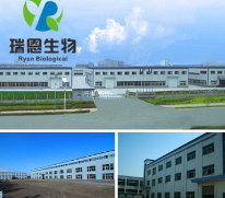 淫羊藿提取物 淫羊藿甙 20%高品质单甙 淫羊藿粉末 厂家直销包邮图1