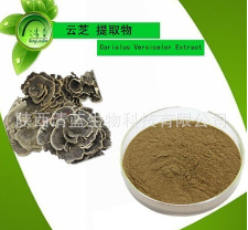 优质云芝提取物 云芝多糖 品质保证 优质云芝粉图1