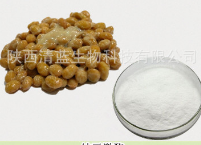 纳豆提取物 纳豆激酶 高活性酶20000FU 质量保证 厂家包邮图1