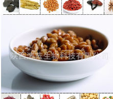 纳豆提取物 纳豆激酶 高活性酶20000FU 质量保证 厂家包邮图2