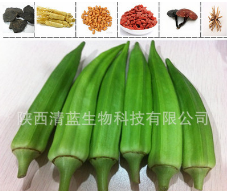 黄秋葵浓缩粉图2