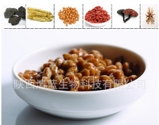 纳豆提取物 纳豆激酶 高活性酶20000FU图2