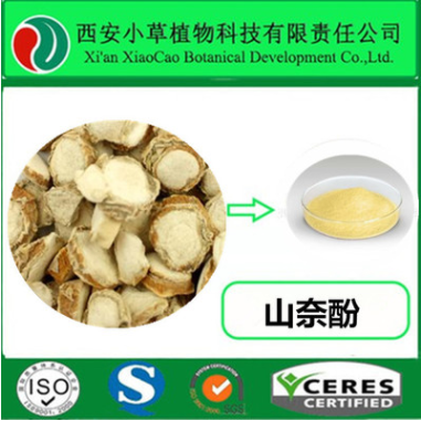 厂家供应山奈提取物 山奈酚98%图1