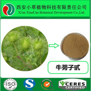 牛蒡子提取物 牛蒡子甙40% 专业提取物厂家图1