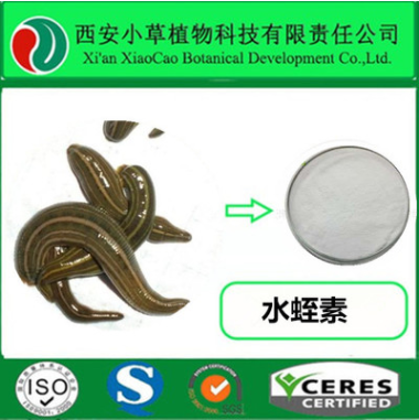 厂家直销 水蛭粉 水蛭素提取物 品质保证 包邮图1
