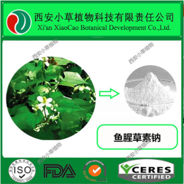 鱼腥草素钠98% 鱼腥草提取物 粉图1
