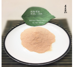 杨梅提取物 纯天然果粉 100%水溶杨梅粉 厂家直销 现货图3